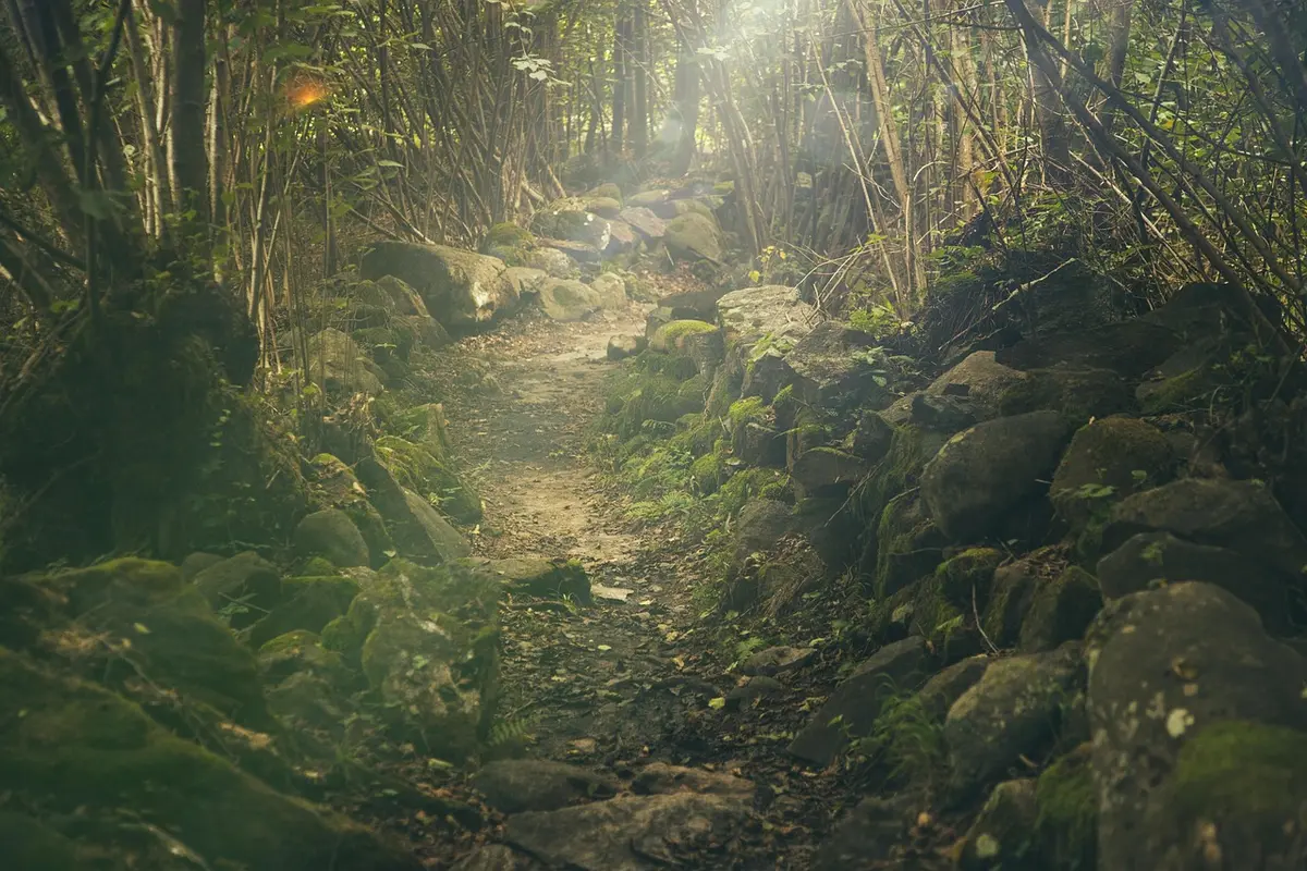Nahaufnahme eines Wegweisers mit Richtungsangaben an einem Wanderweg