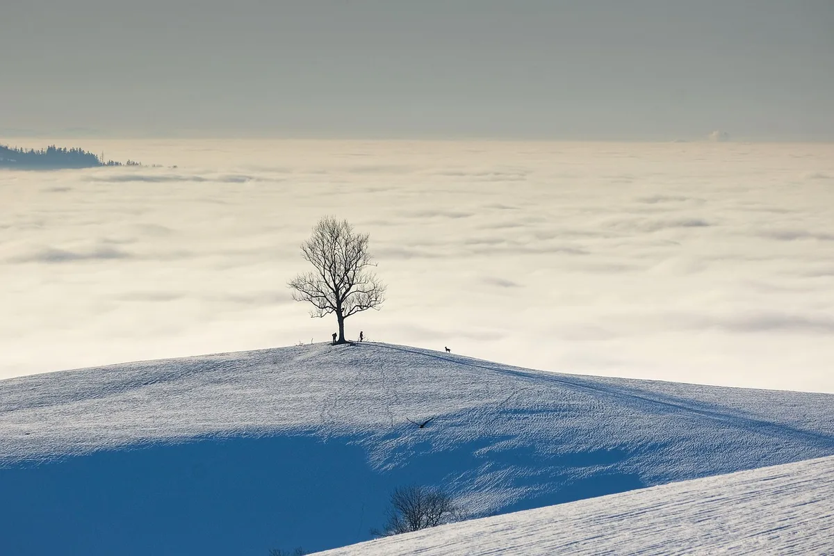 Aussichtspunkt auf Hügel mit freiem Blick zum Horizont in der Dämmerung