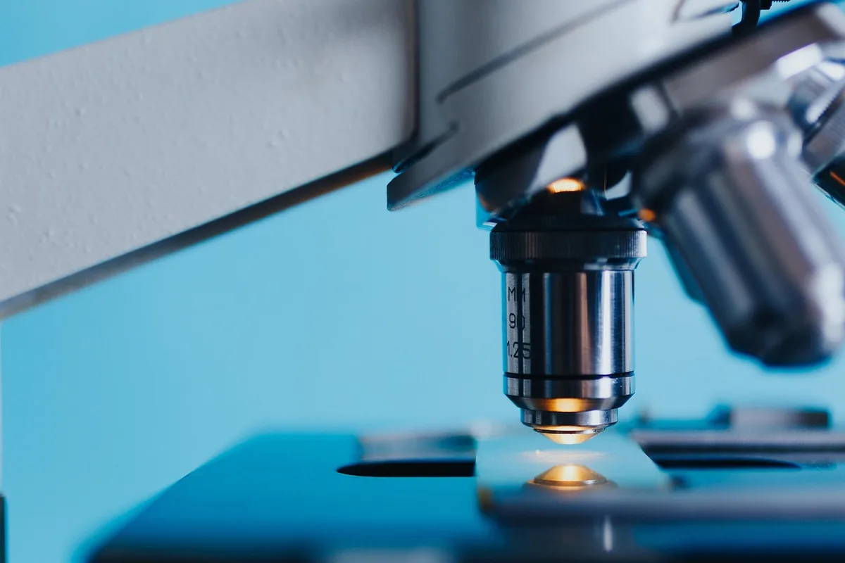 Laborarbeit mit CRISPR-Genschere zur genetischen Bearbeitung von Elefantenzellen