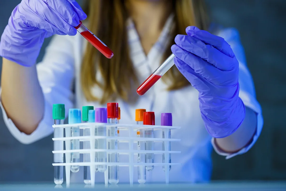 Laboruntersuchung von Zahnproben für Isotopenanalyse